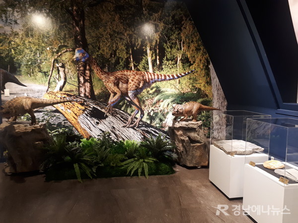 올해 11월 26부터 내년 11월 25일까지 1년간 공룡박물관 3층 전시실에서 '공룡시대 다양한 화석들'이란 주제로 2019 고성공룡박물관 기획전시를 개최한다. @ 고성군 제공