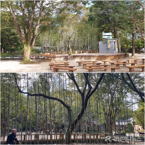 하동군이 2017년 호반의 도시 춘천 남이섬에 조성한 ‘옥화주막’에 하동산 대나무를 심어 고즈넉한 정취를 자아내고 있다. @ 하동군 제공