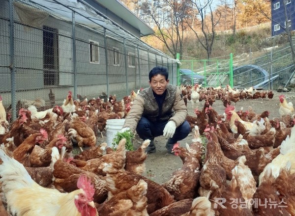 함양군 함양읍에서 약초골농원을 운영하는 강구영(52) 대표가 ‘2020 유기·무항생제 축산대상 공모’에서 소가축 부문 최우수상 수상자로 선정됐다.