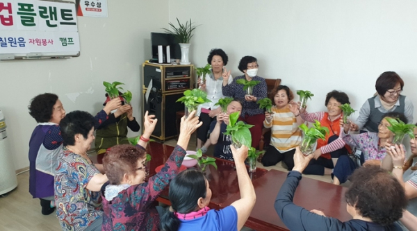 함안 칠원읍자원봉사캠프, 어르신과 함께 하는 반려식물 키우기(컵 플랜트) 활동 진행