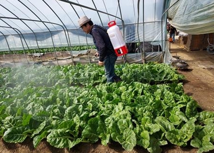 부산시 농업기술센터, 살충제 대체 친환경 농업기술 시범사업 추진