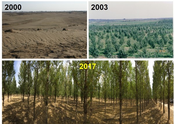 중국 내몽골 통료시 조림사업지 2000-2017.
