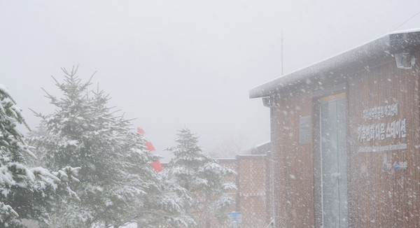 지리산국립공원 세석 탐방로 일원에 16일 내린 눈