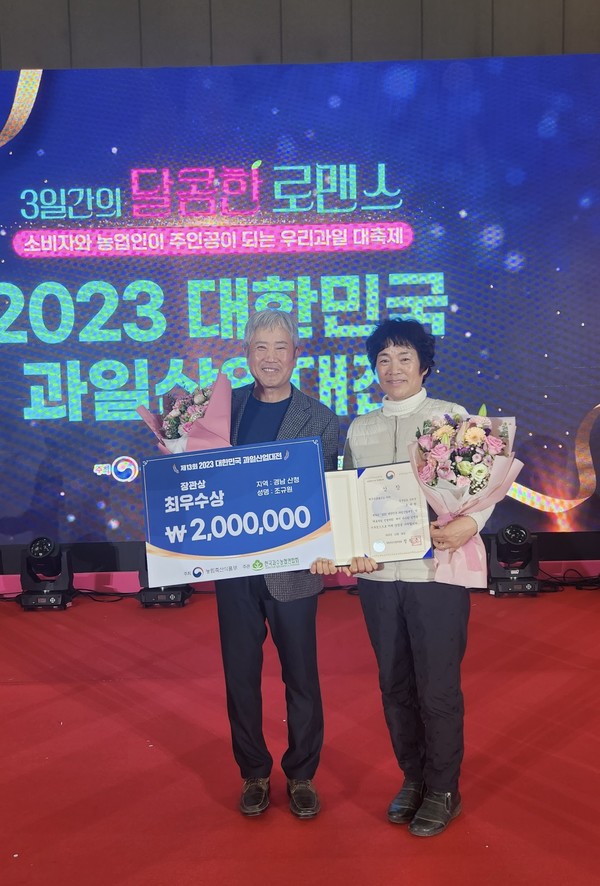 지리산 산청곶감 원료감인 ‘산청고종시(떫은감)’가 8년 연속 대한민국 대표과일 선발대회 최고상인 최우수상과 우수상을 수상했다.