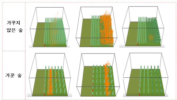 숲 가꾸기(솎아베기) 유무에 따른 산불확산 시뮬레이션 비교